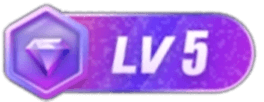 等级-LV5-好运源码